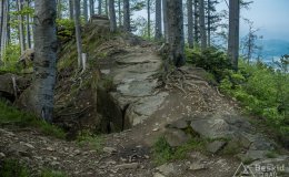 IMG_1441