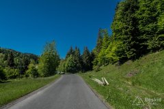 Sopotnia Wielka - Kolonia