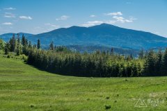 Hala Malorka i Babia Góra