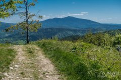Na szlaku z Hali Malorka na Halę Miziową