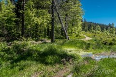 Na szlaku pomiędzy Halą Miziową a Halą Rysianka