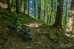 Na zielonym szlaku pomiędzy Halą Lipowską a Boraczą