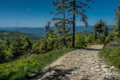 Okolice Hali Redykalnej