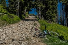 Okolice Hali Redykalnej