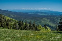 Na żółtym szlaku z Hali Redykalnej na Rysiankę