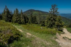 Romanka z Hali Rysianka