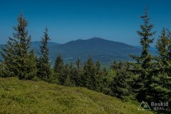 Niebieski szlak z Romanki na Kotarnicę