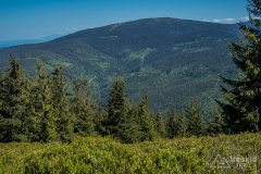 Niebieski szlak z Romanki na Kotarnicę