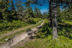 Niebieski szlak z Romanki na Kotarnicę