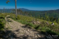 Czarny szlak z Kotarnicy do Sopotni Wielkiej