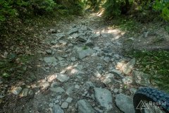 Czarny szlak z Kotarnicy do Sopotni Wielkiej