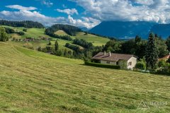 IMG_1663