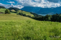 IMG_1665