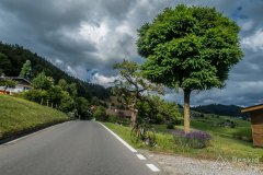 IMG_1667