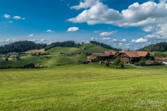 IMG_1669