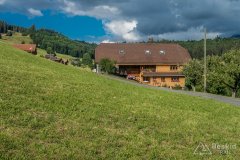 IMG_1674