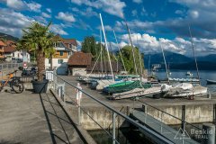 IMG_1678