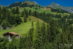 IMG_1694