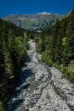 IMG_1696