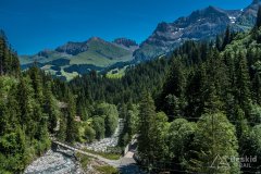 IMG_1697