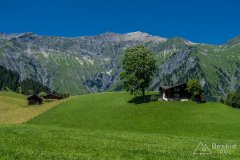 IMG_1698