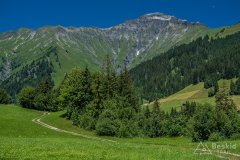 IMG_1699