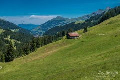 IMG_1700