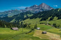 IMG_1702
