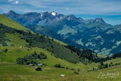 IMG_1703