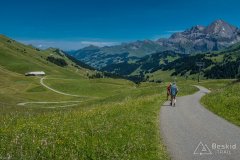 IMG_1705
