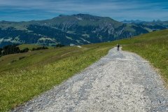 IMG_1706