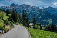 IMG_1709