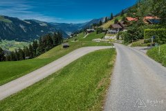 IMG_1710