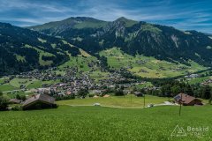 IMG_1711