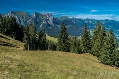 IMG_1717