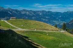 IMG_1725