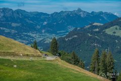 IMG_1726