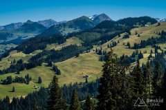 IMG_1727