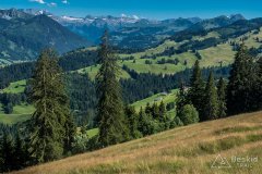 IMG_1728
