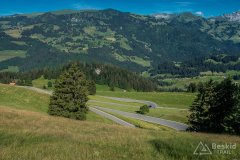IMG_1729