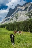 IMG_1745