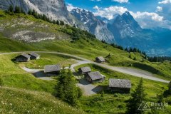 IMG_1761