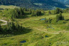 IMG_1768