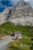 IMG_1769