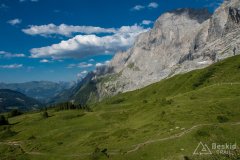 IMG_1770