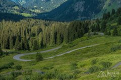 IMG_1773