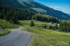 IMG_1779