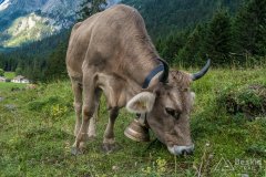 IMG_1785