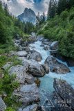IMG_1786