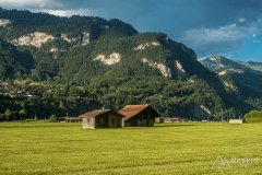 IMG_1787